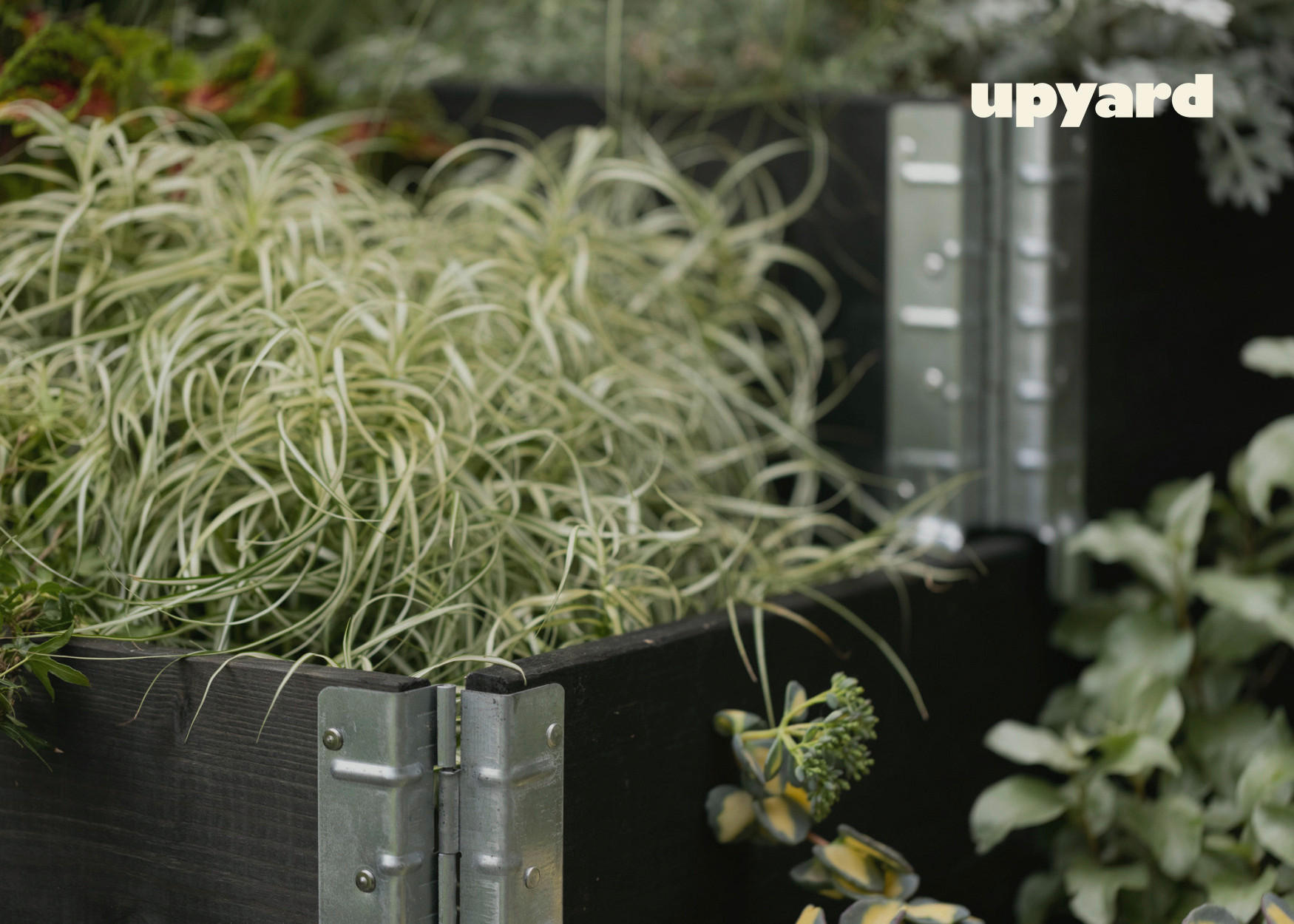 Thumbnail - UPYARD Stufenbeet INDUSTRIAL schwarz Holz B/L: ca. 40x60 cm