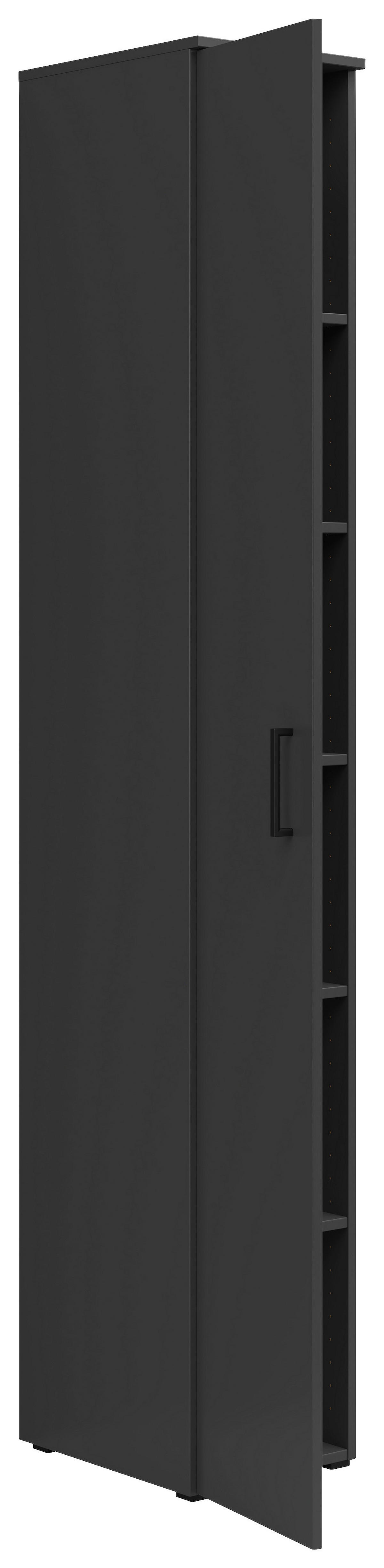 Schrank Multi-Stauraum Typ 8 anthrazit B/H/T: ca. 30x195x40 cm Multi-Stauraum Typ 8 - anthrazit (30,00/195,00/40,00cm)