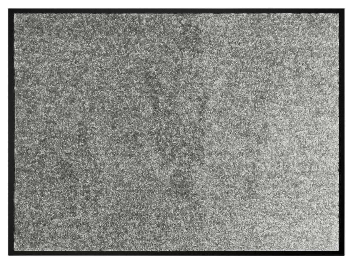 Schmutzfangmatte Alpha grau B/L: ca. 80x120 cm Alpha - grau (80,00/120,00cm)