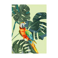Komar Poster Green-Winged Macaw Green-Winged Macaw - Komar