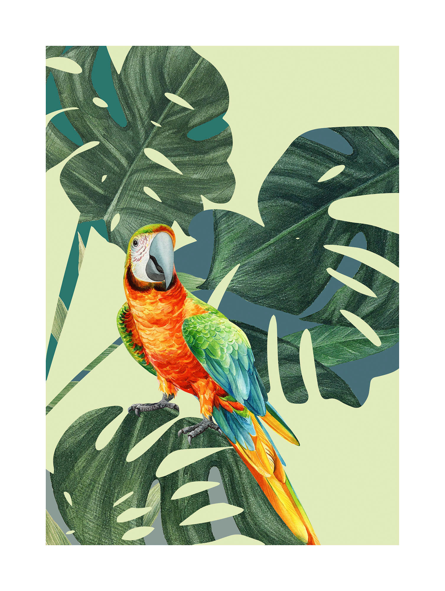 Komar Poster Green-Winged Macaw günstig online kaufen