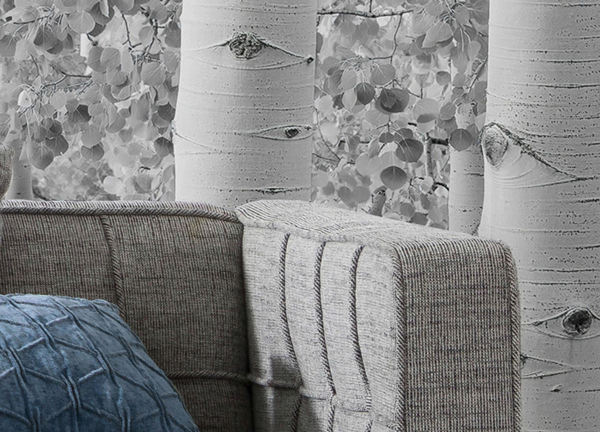 Komar Fototapete Espenwald B/L: ca. 450x280 cm Espenwald - (450,00/280,00cm) - Komar
