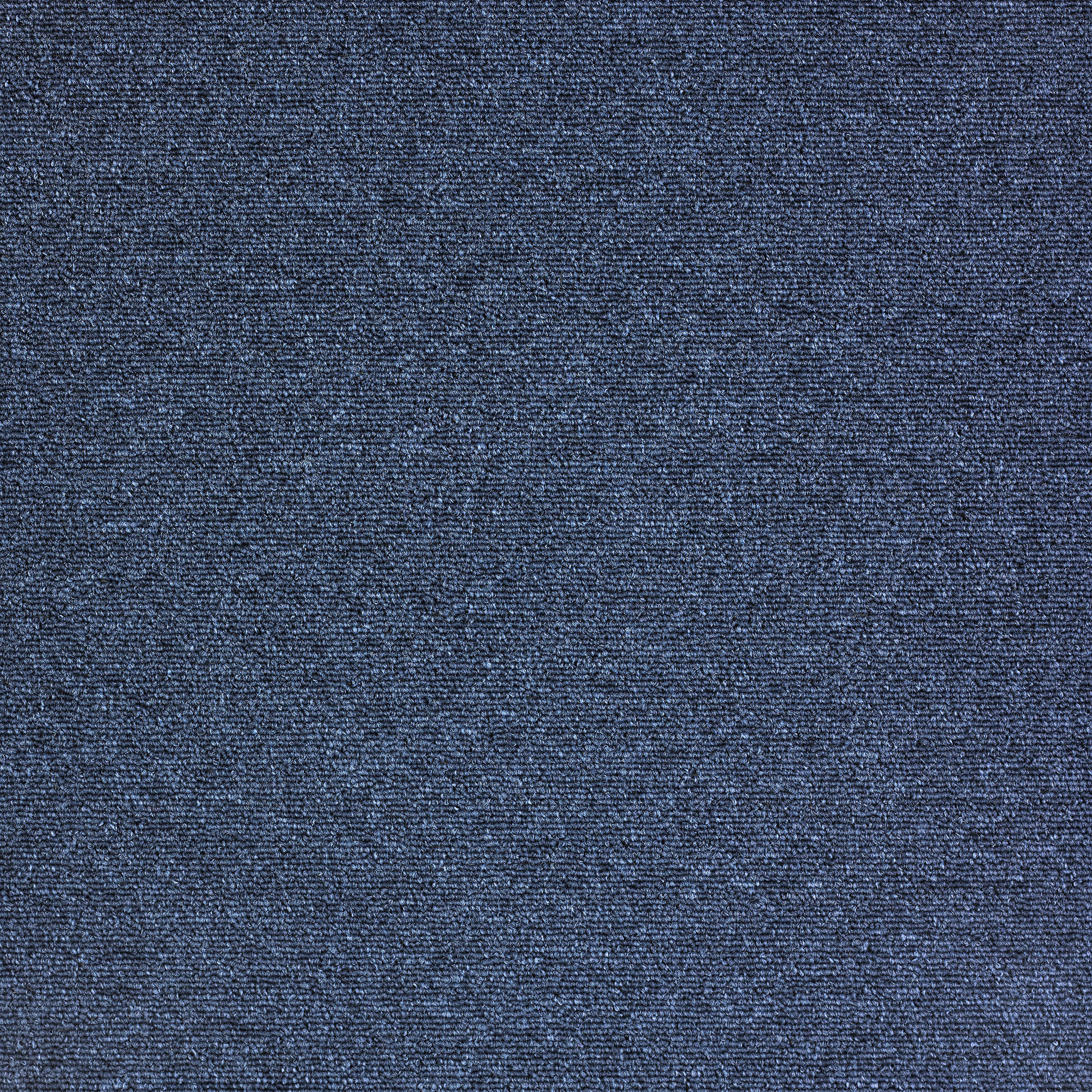 Teppichfliese Diva blau B/L: ca. 50x50 cm Diva - blau (50,00/50,00cm)