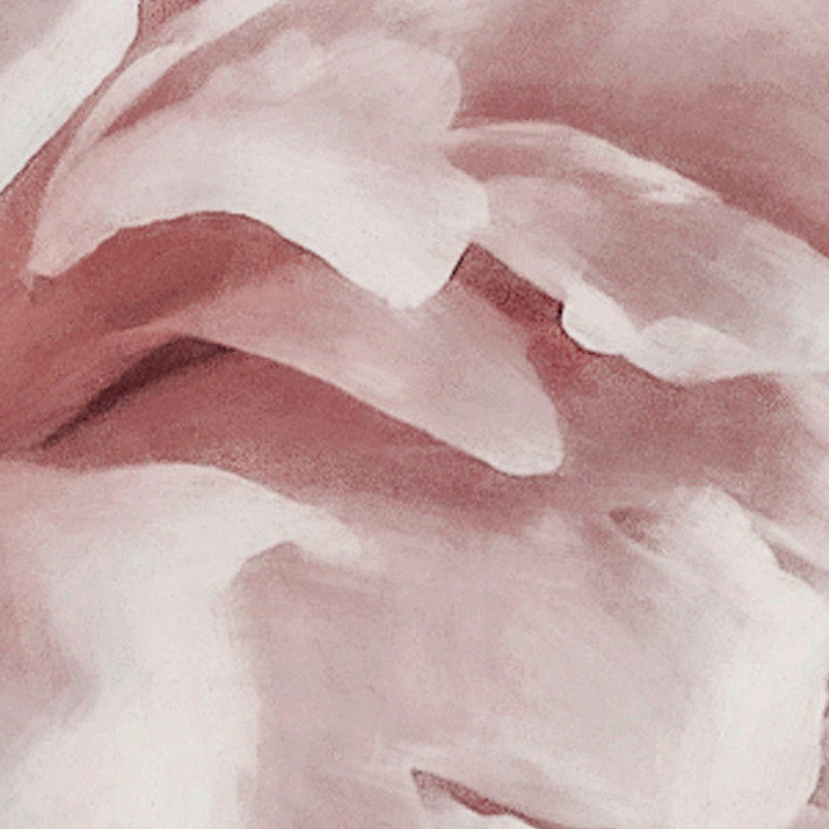 Komar Fototapete Blossom Clouds B/L: ca. 250x250 cm Blossom Clouds - (250,00/250,00cm) - Komar