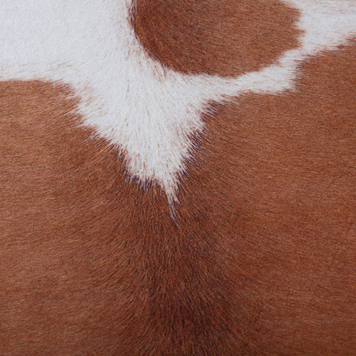 Obsession Fellimitat My Toledo braun B/L: ca. 155x190 cm My Toledo - braun (155,00/190,00cm) - Obsession