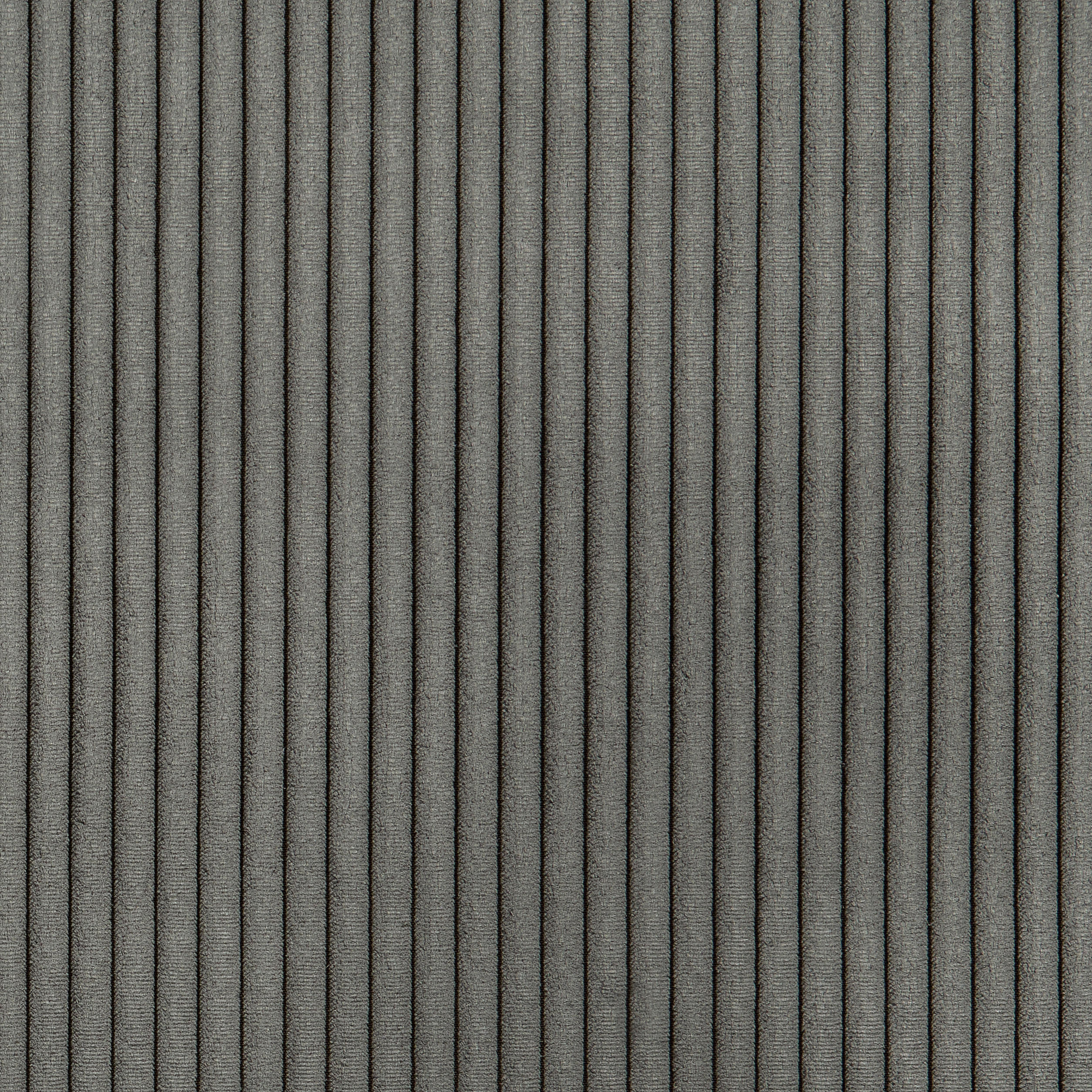 Möbelbezugsstoff Tariro Cord anthrazit B: ca. 140 cm Tariro Cord - anthrazit (140,00cm)