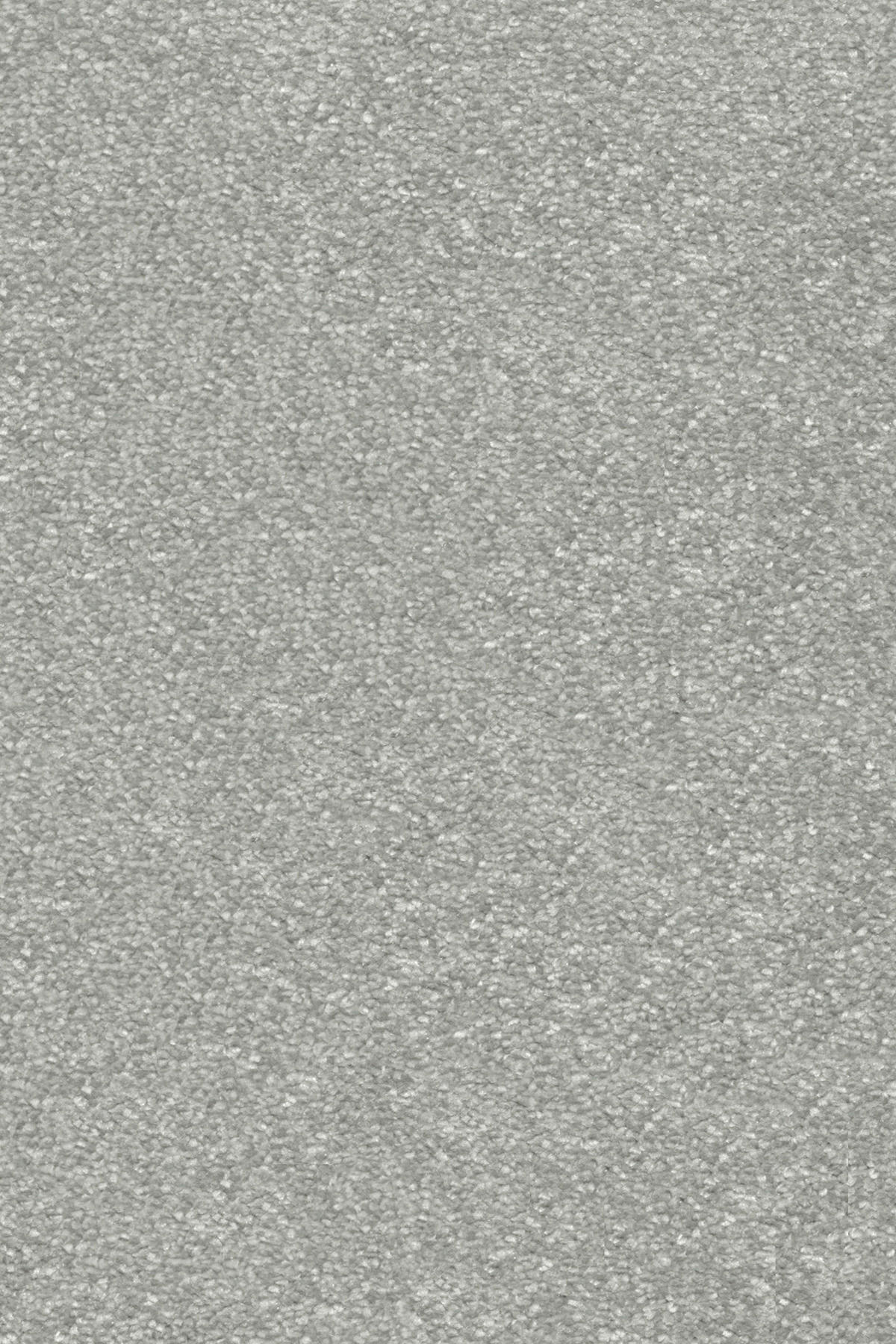 Teppichboden Nobilis silber B: ca. 400 cm pro m² Nobilis - silber (400,00cm)