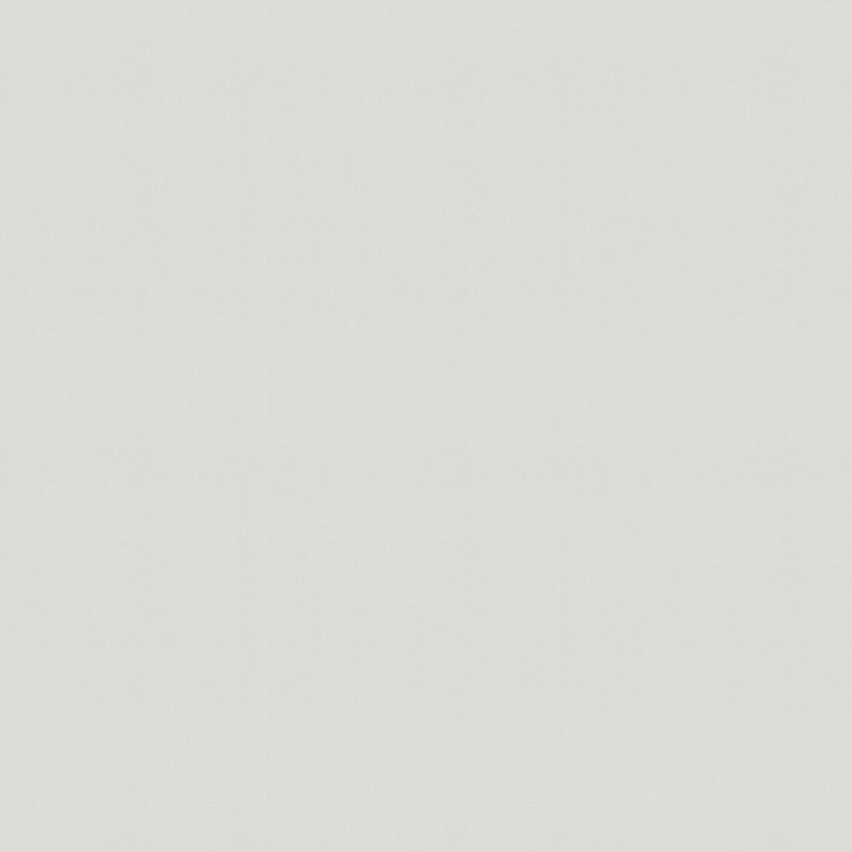 Vliestapete Uni beige grau B/L: ca. 53x1005 cm Vliestapete_1435-25 - beige/grau (53,00/1005,00cm)