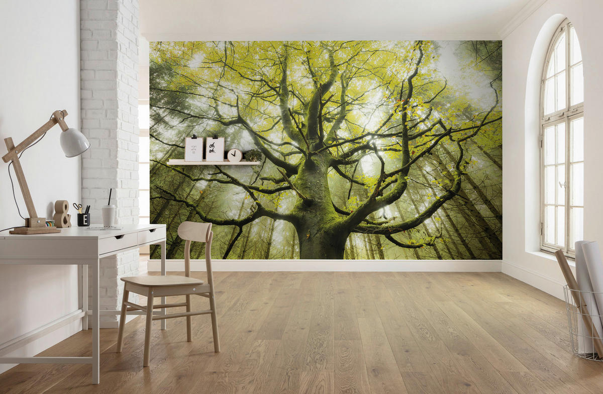 Komar Fototapete Der Traumbaum B/L: ca. 450x280 cm Der Traumbaum - (450,00/280,00cm) - Komar