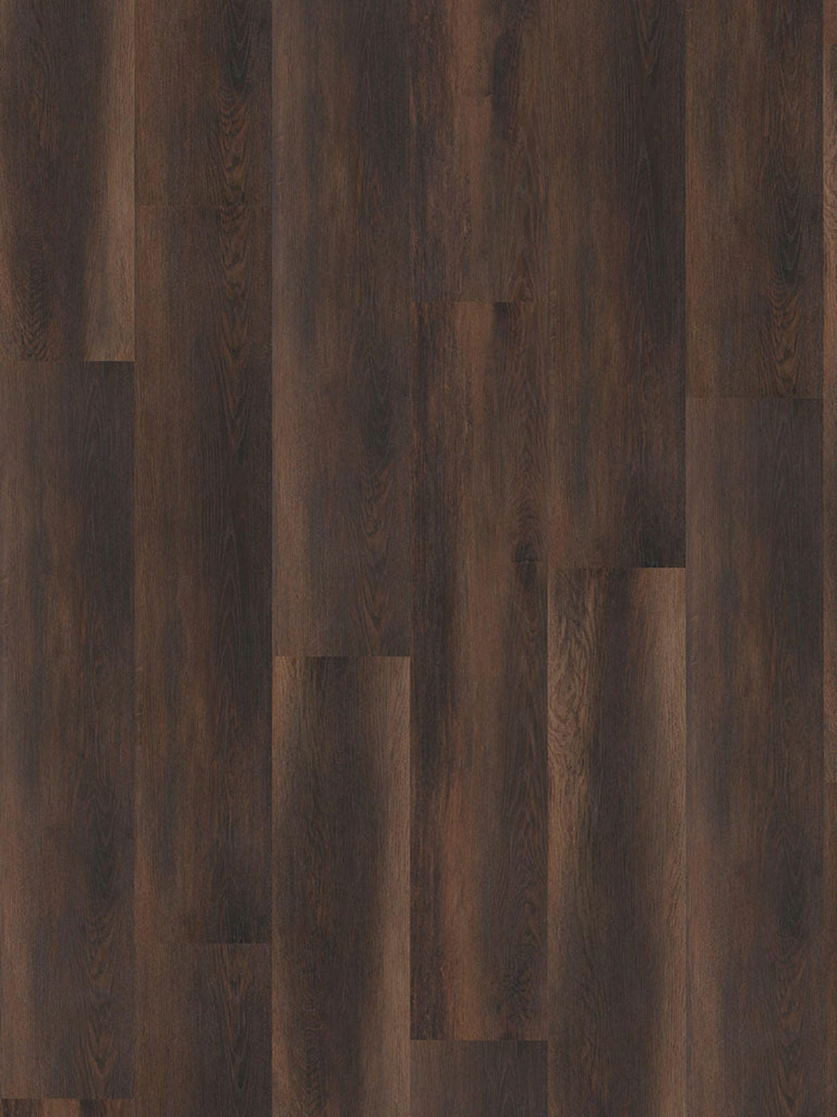 Check One Click-Vinylboden Felizitas ca. 2,782 m² im Paket  B/L: ca. 22,8x122 cm pro Paket Felizitas ca. 2,782 m² im Paket - (122,00/22,80/0,45cm) - Check One