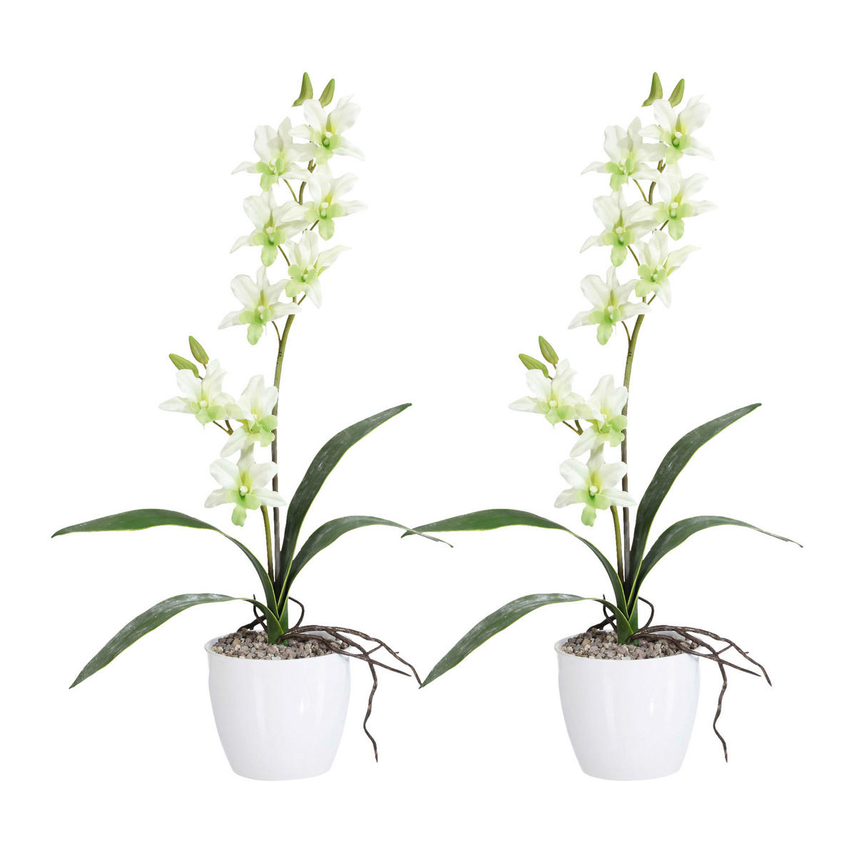 Kunstpflanze Orchidee Dendrobie grün Kunststoff B/H/L: ca. 17x55x17 cm Orchidee Dendrobie - grün (17,00/17,00/55,00cm)