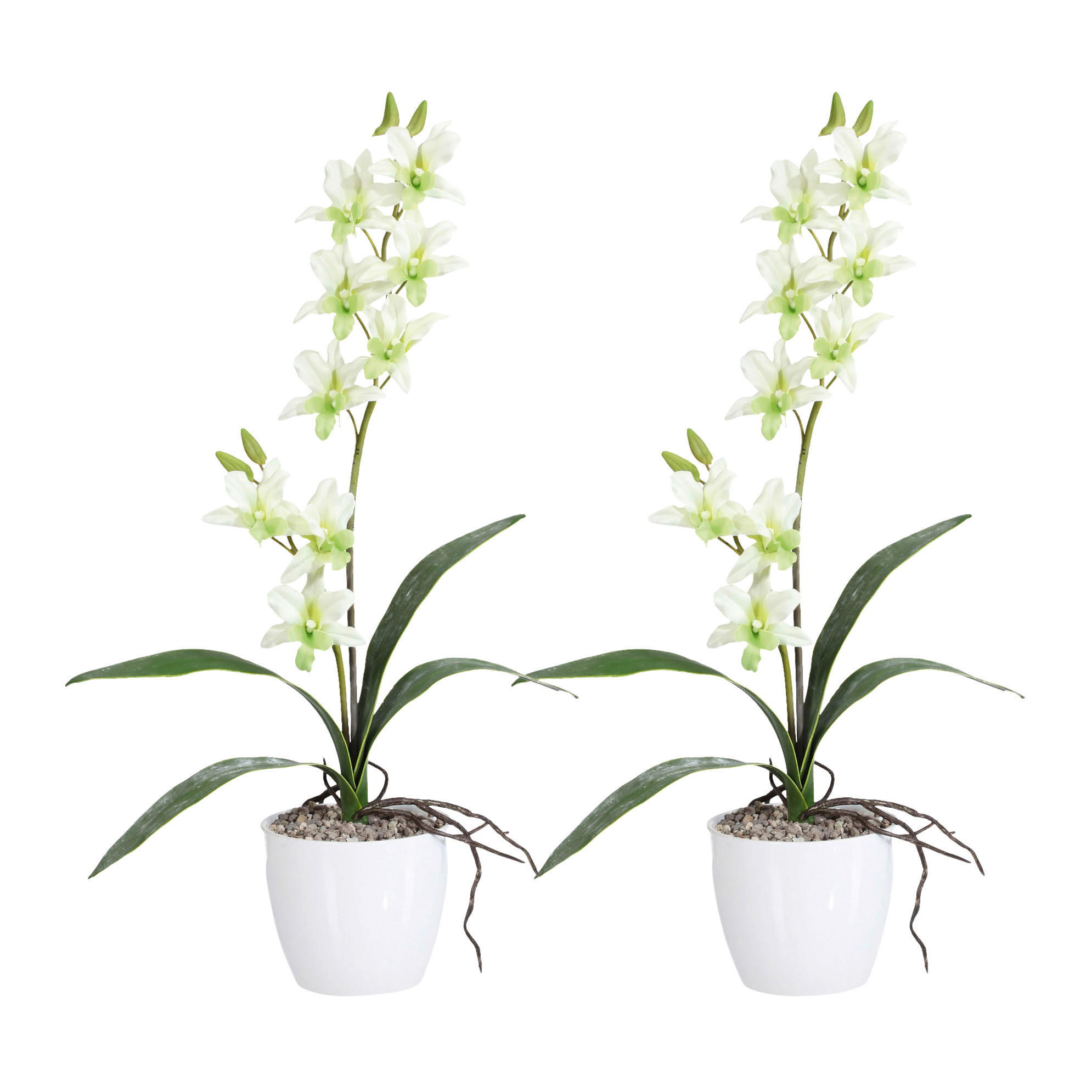 Kunstpflanze Orchidee Dendrobie grün Kunststoff B/H/L: ca. 17x55x17 cm günstig online kaufen