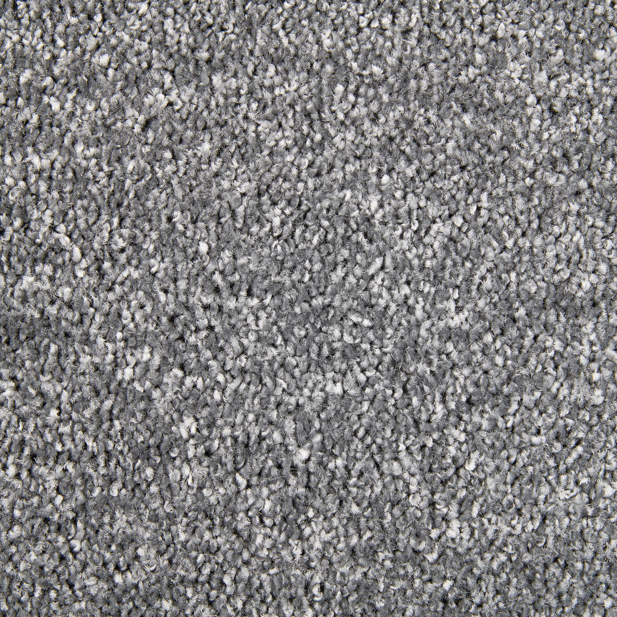 Teppichboden Olvera anthrazit B: ca. 500 cm pro m² Olvera - anthrazit (500,00cm)