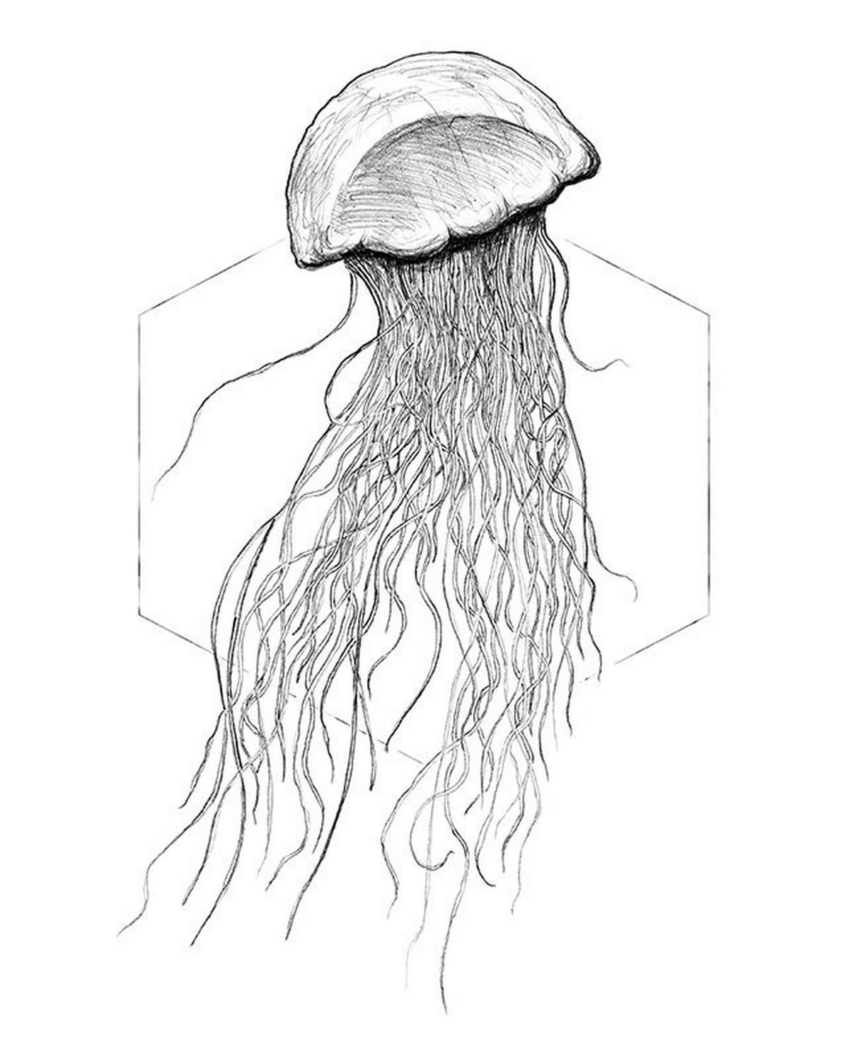 Komar Poster Jellyfish White Tiere B/L: ca. 40x50 cm Jellyfish White - (40,00/50,00cm) - Komar