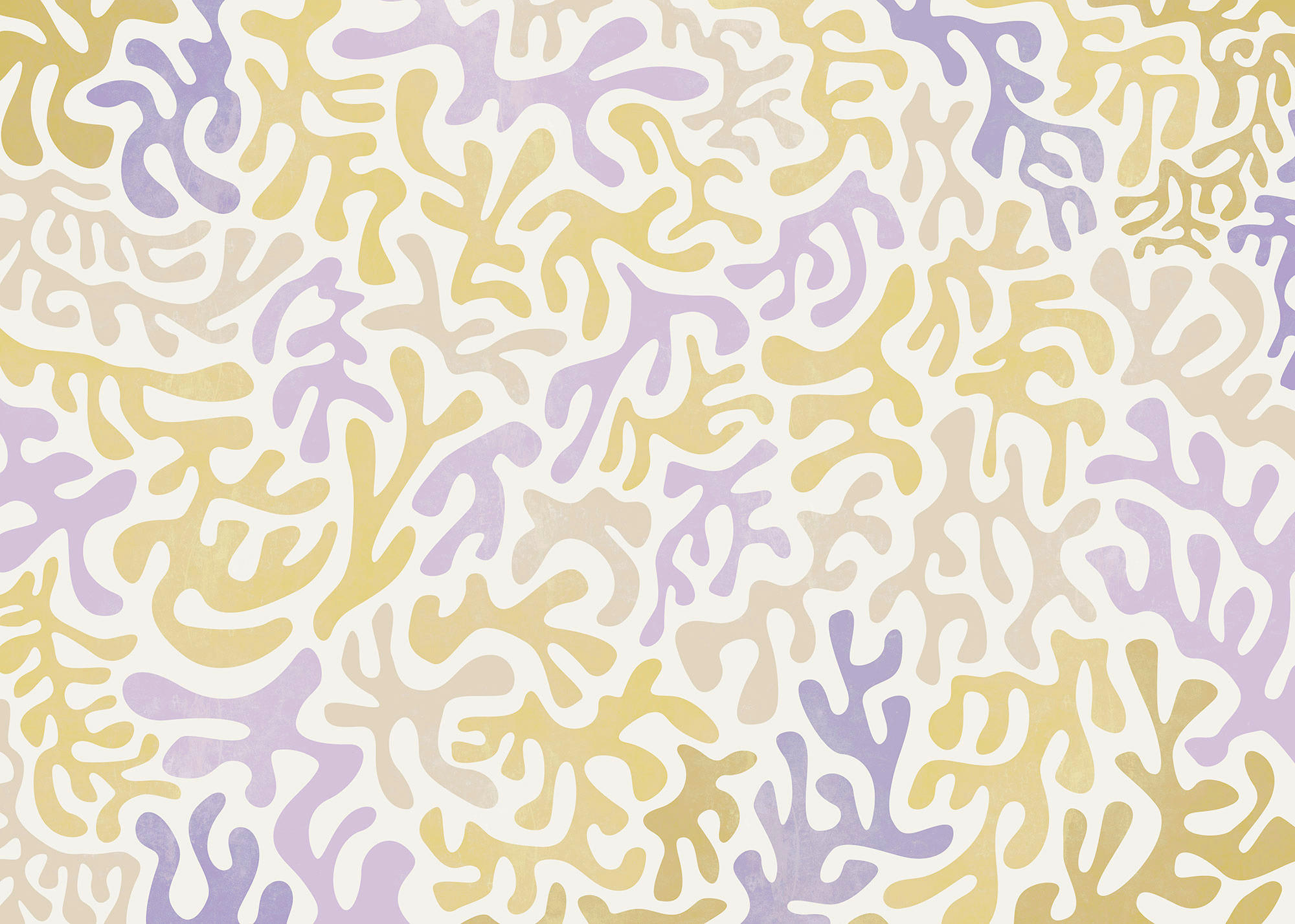 Komar Fototapete Sage Flip B/L: ca. 350x250 cm Sage Flip - (350,00/250,00cm) - Komar