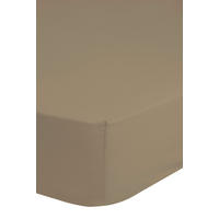 Jersey Spannbetttuch Spannbetttuch-Jersey 90/100x200cm - sand (100,00/200,00cm) - Good Morning