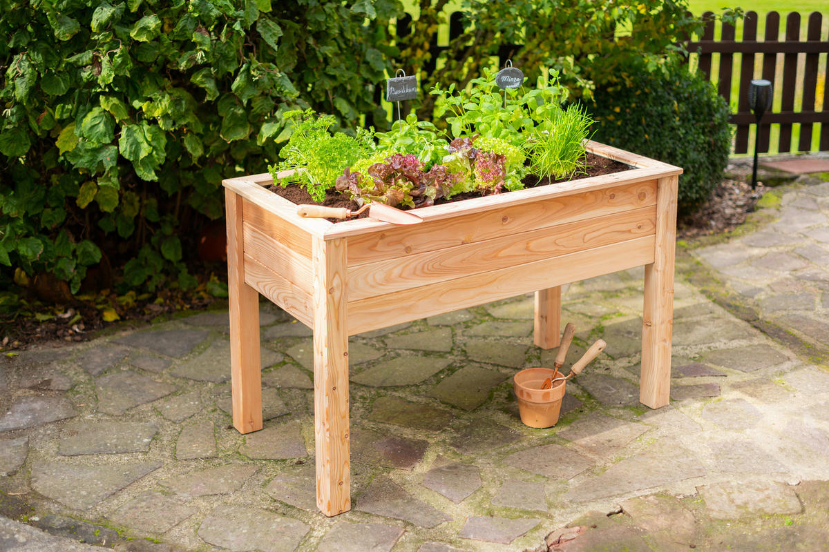 Westmann Stelzenhochbeet natur Lärche H/T/L: ca. 75x65x120 cm Stelzenhochbeet - natur (120,00cm) - Westmann