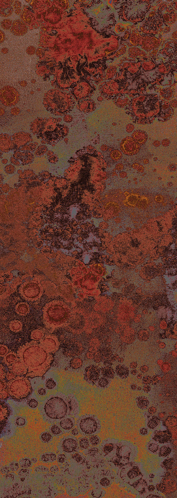 Komar Fototapete Patina B/L: ca. 100x280 cm Patina - (100,00/280,00cm) - Komar