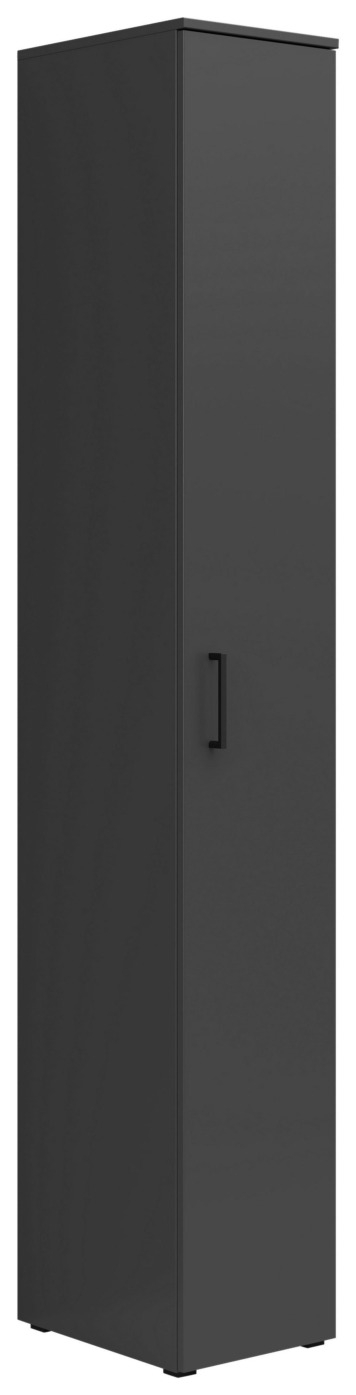 Schrank Multi-Stauraum Typ 8 anthrazit B/H/T: ca. 30x195x40 cm Multi-Stauraum Typ 8 - anthrazit (30,00/195,00/40,00cm)