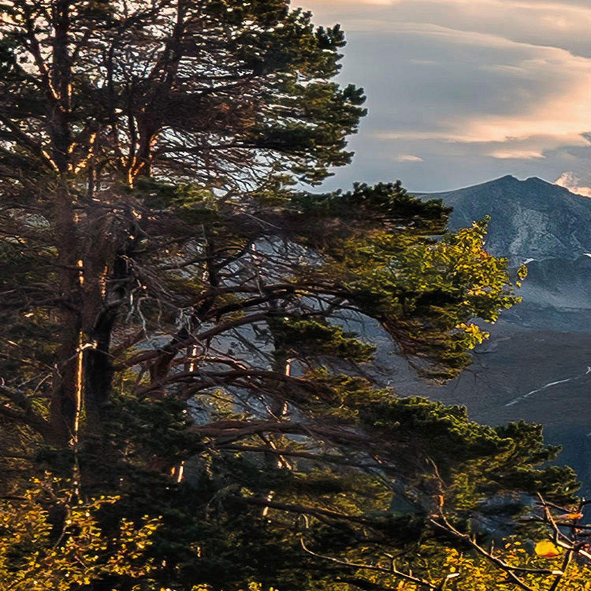 Komar Fototapete Norwegische Herbstwelten B/L: ca. 450x280 cm Norwegische Herbstwelten - (450,00/280,00cm) - Komar