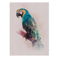 Komar Poster Animals Paradise Parrot Tiere B/L: ca. 30x40 cm Animals Paradise Parrot - (30,00/40,00cm) - Komar