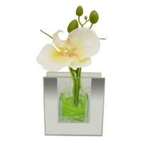 POCOline Vase klar Glas B/H/L: ca. 4x9x8,5 cm Spiegelvase_eckig - klar (8,50/4,00/9,00cm) - POCOline
