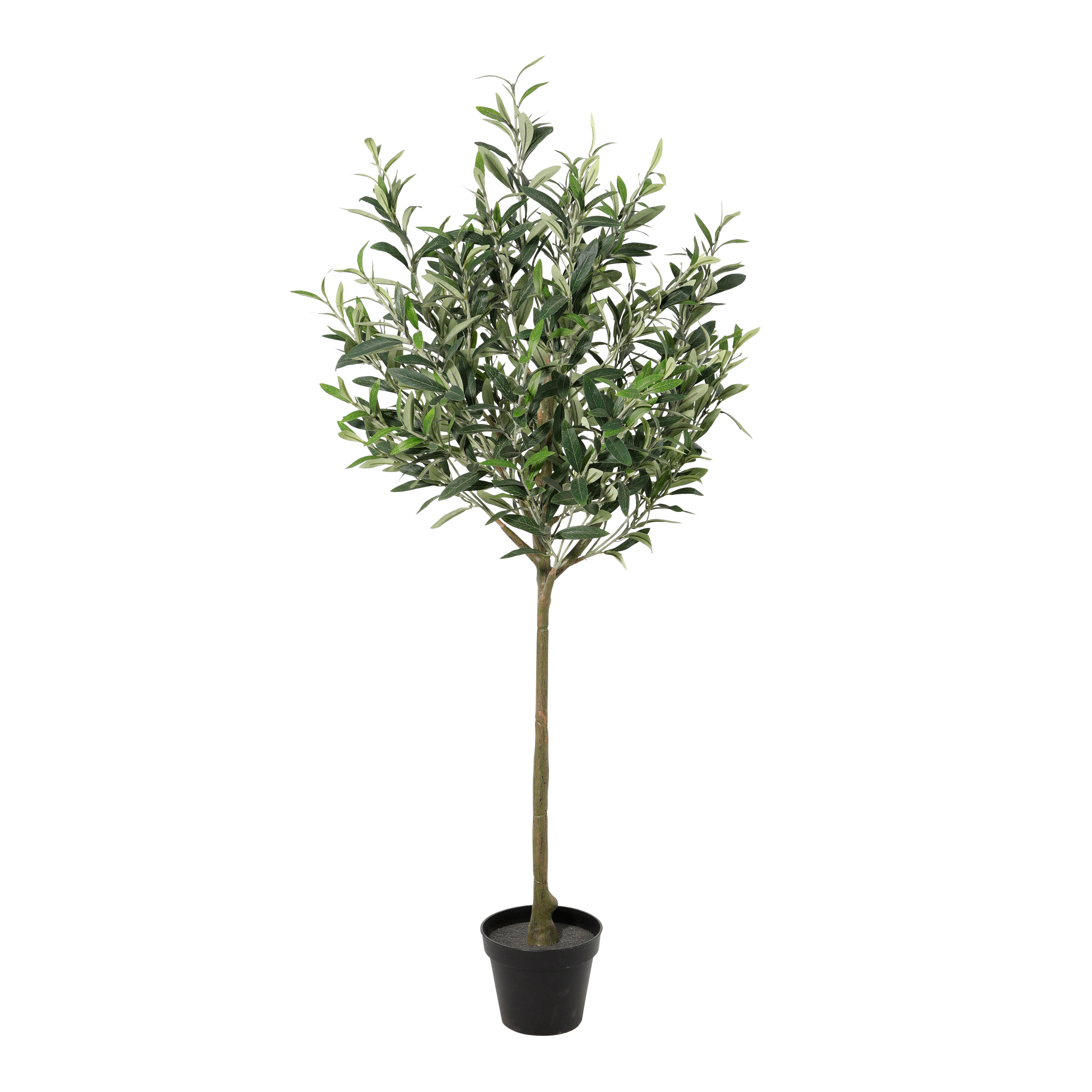 Deko-Pflanze Kunstpflanze_Olivenbaum