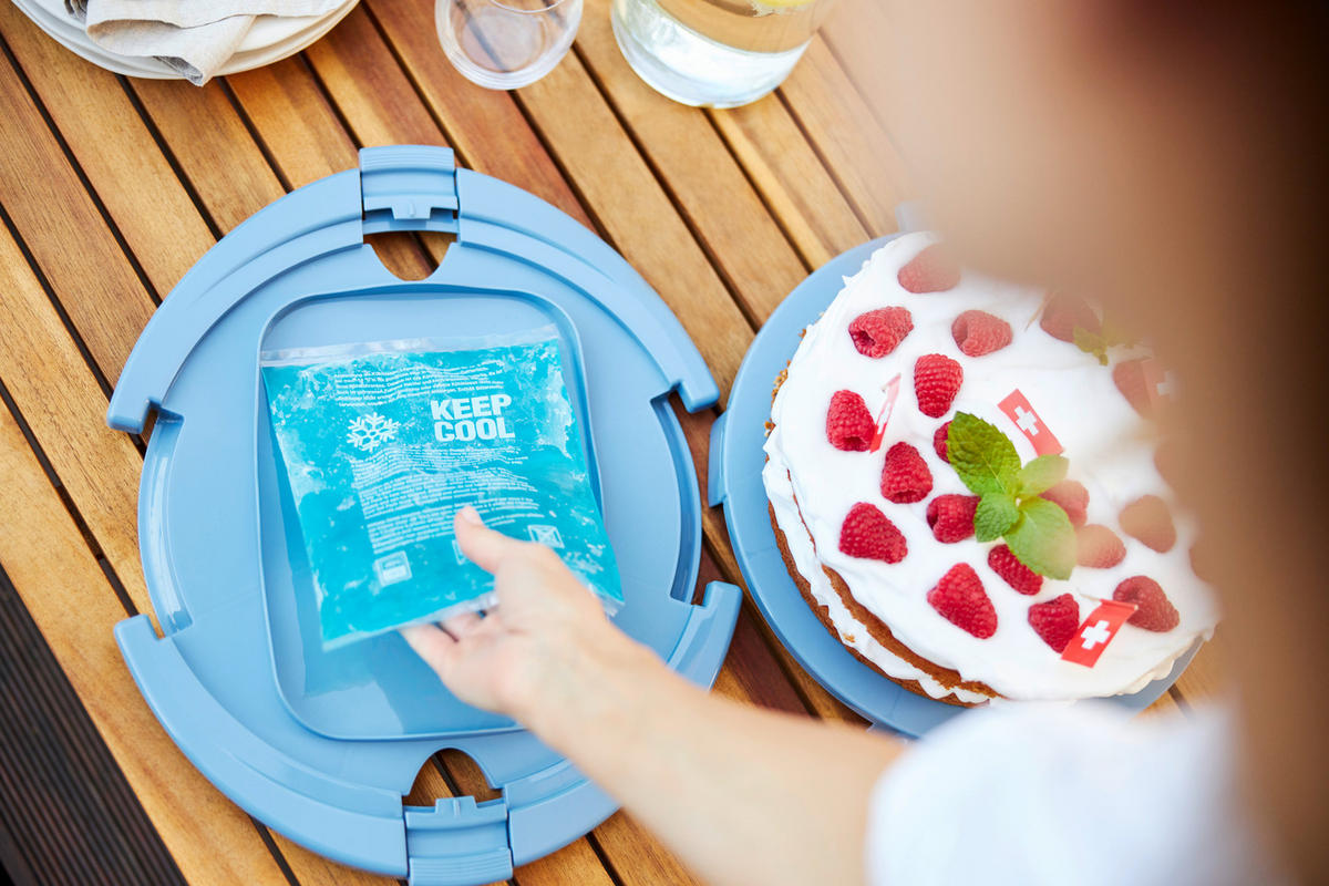 Rotho Tortenglocke COOL & FRESH blau B/H/L: ca. 34x16x38 cm COOL & FRESH - blau/transparent (38,00/34,00/16,00cm) - Rotho