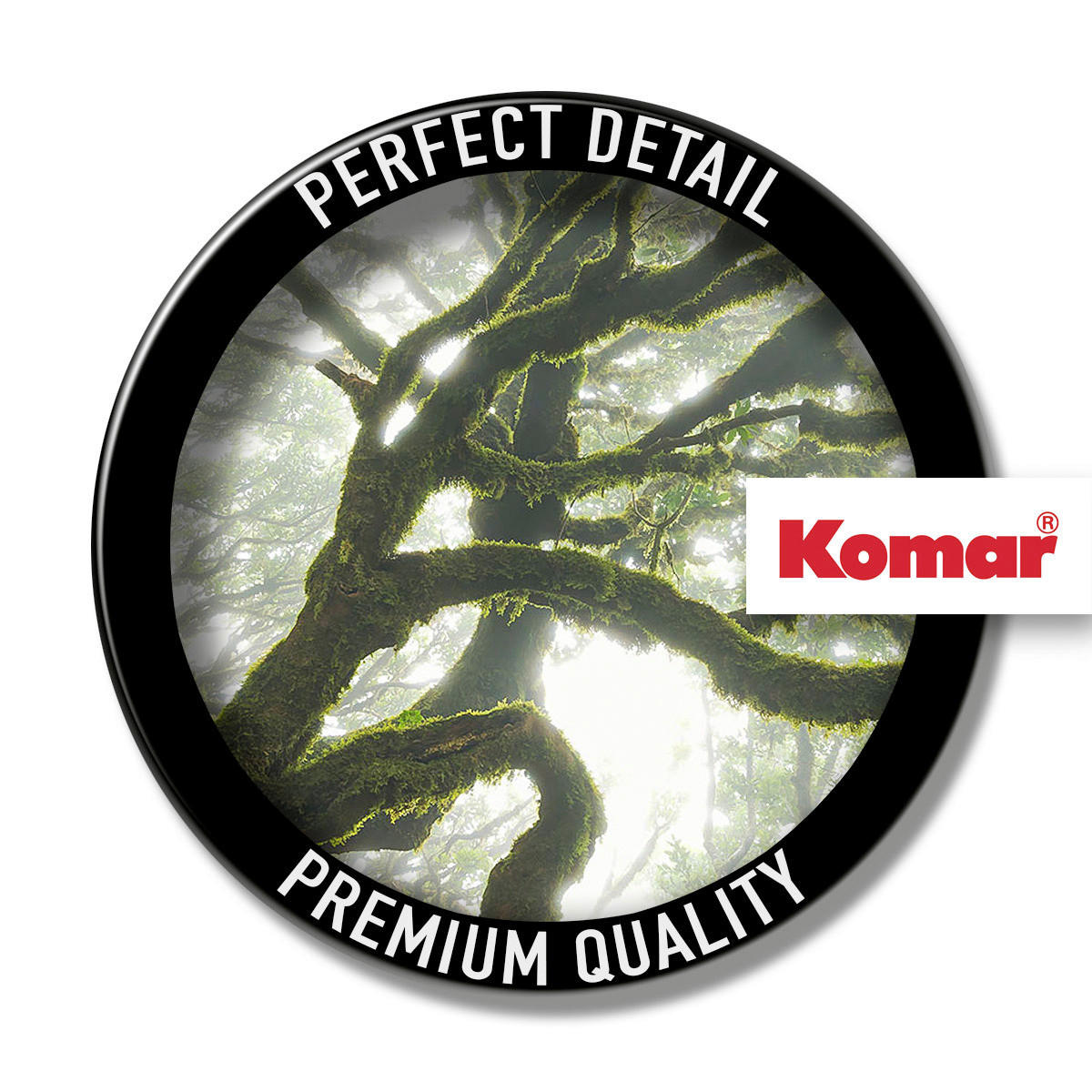 Komar Fototapete The Forgotten Forest B/L: ca. 400x250 cm The Forgotten Forest - (400,00/250,00cm) - Komar