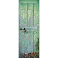 Komar Fototapete Gartentür B/L: ca. 100x280 cm Gartentür - (100,00/280,00cm) - Komar