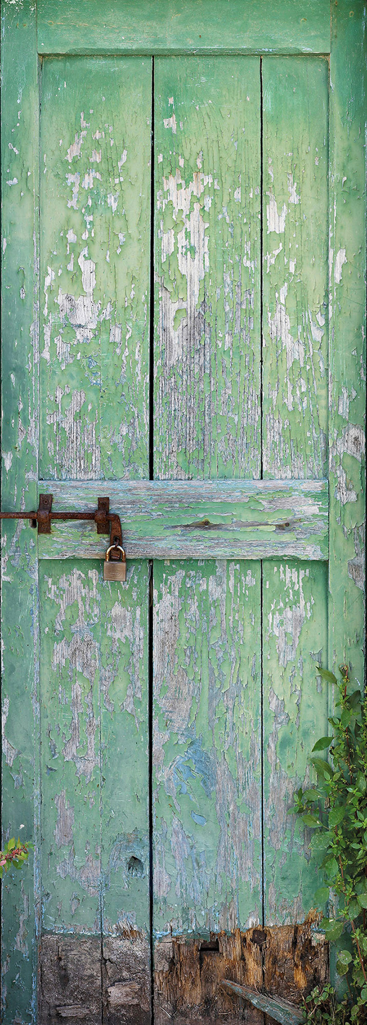 Komar Fototapete Gartentür B/L: ca. 100x280 cm Gartentür - (100,00/280,00cm) - Komar