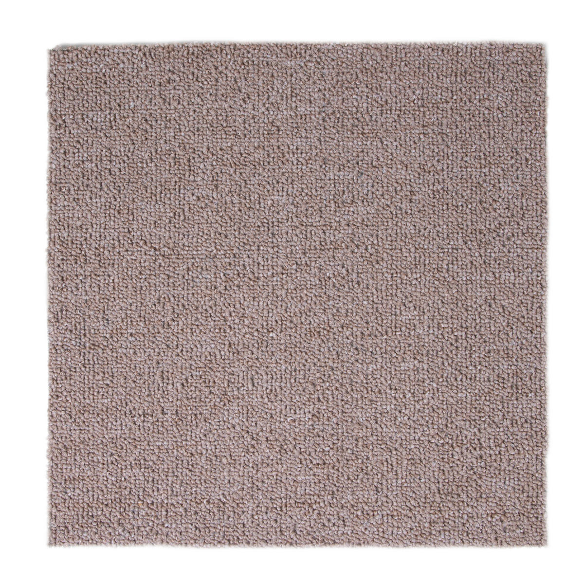 Teppichboden pro m² Mirabell beige B: ca. 200 cm ▷ online bei POCO kaufen