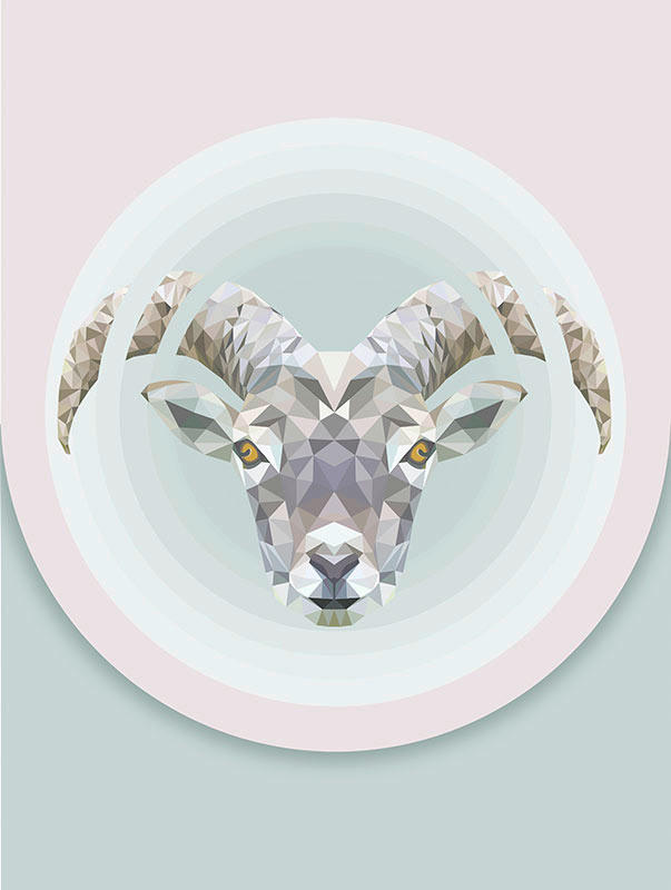 Komar Wandbild Capricorn Tiere B/L: ca. 30x40 cm günstig online kaufen