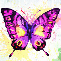 Bönninghoff Keilrahmenbild Keilrahmenbild 35x35cm - Bönninghoff