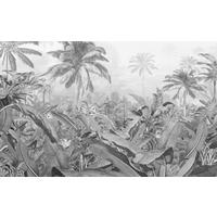 Komar Fototapete Amazonia Black & White B/L: ca. 400x250 cm Amazonia Black & White - (400,00/250,00cm) - Komar