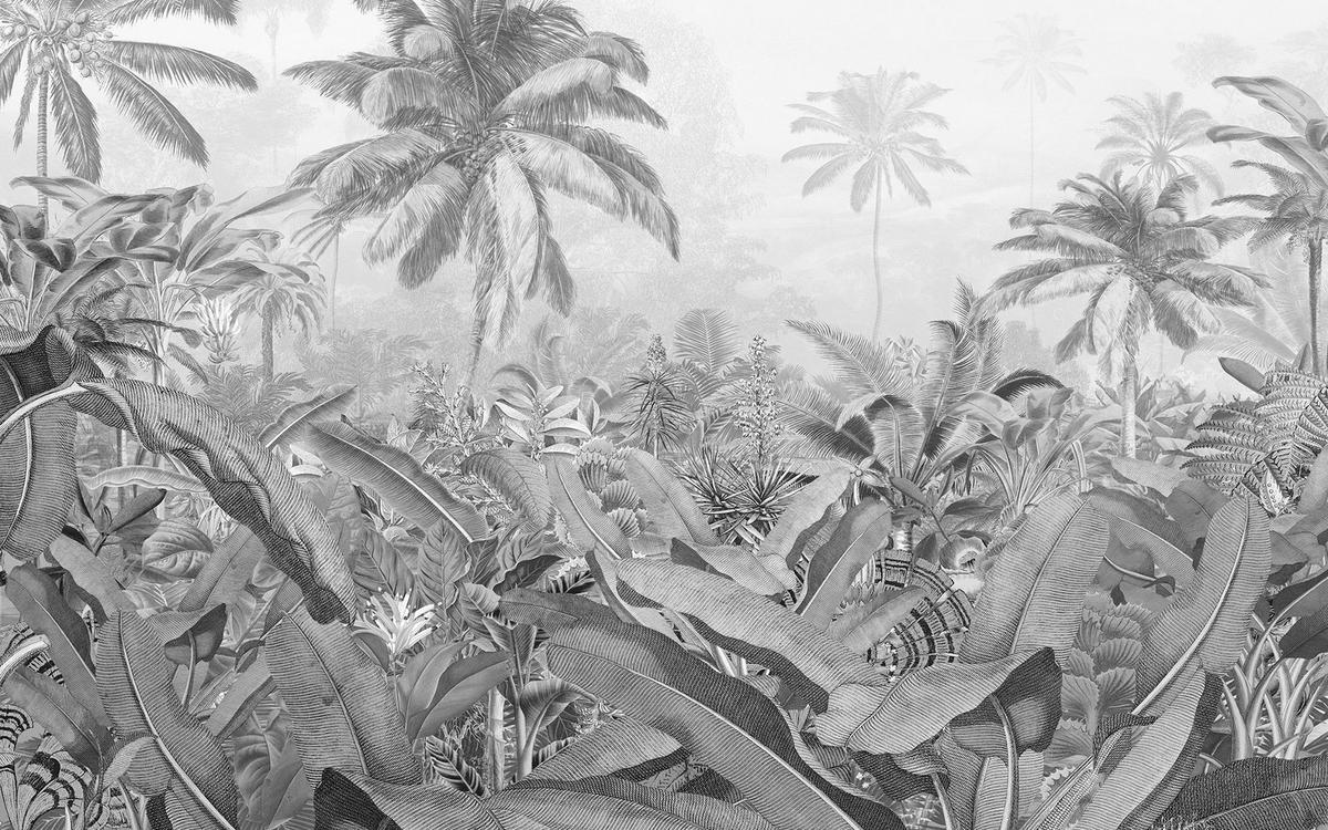 Komar Fototapete Amazonia Black & White B/L: ca. 400x250 cm Amazonia Black & White - (400,00/250,00cm) - Komar