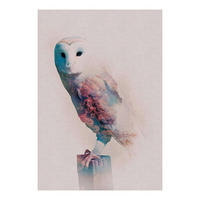 Komar Poster Animals Forest Owl Eule B/L: ca. 50x70 cm Animals Forest Owl - (50,00/70,00cm) - Komar
