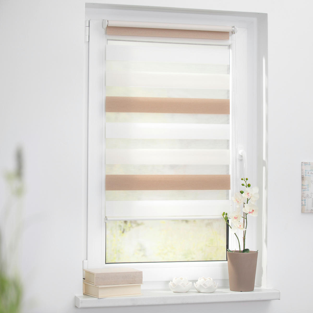 Doppelrollo Duo creme B/L: ca. 100x150 cm Duo - braun/weiß (100,00/150,00cm) - LICHTBLICK