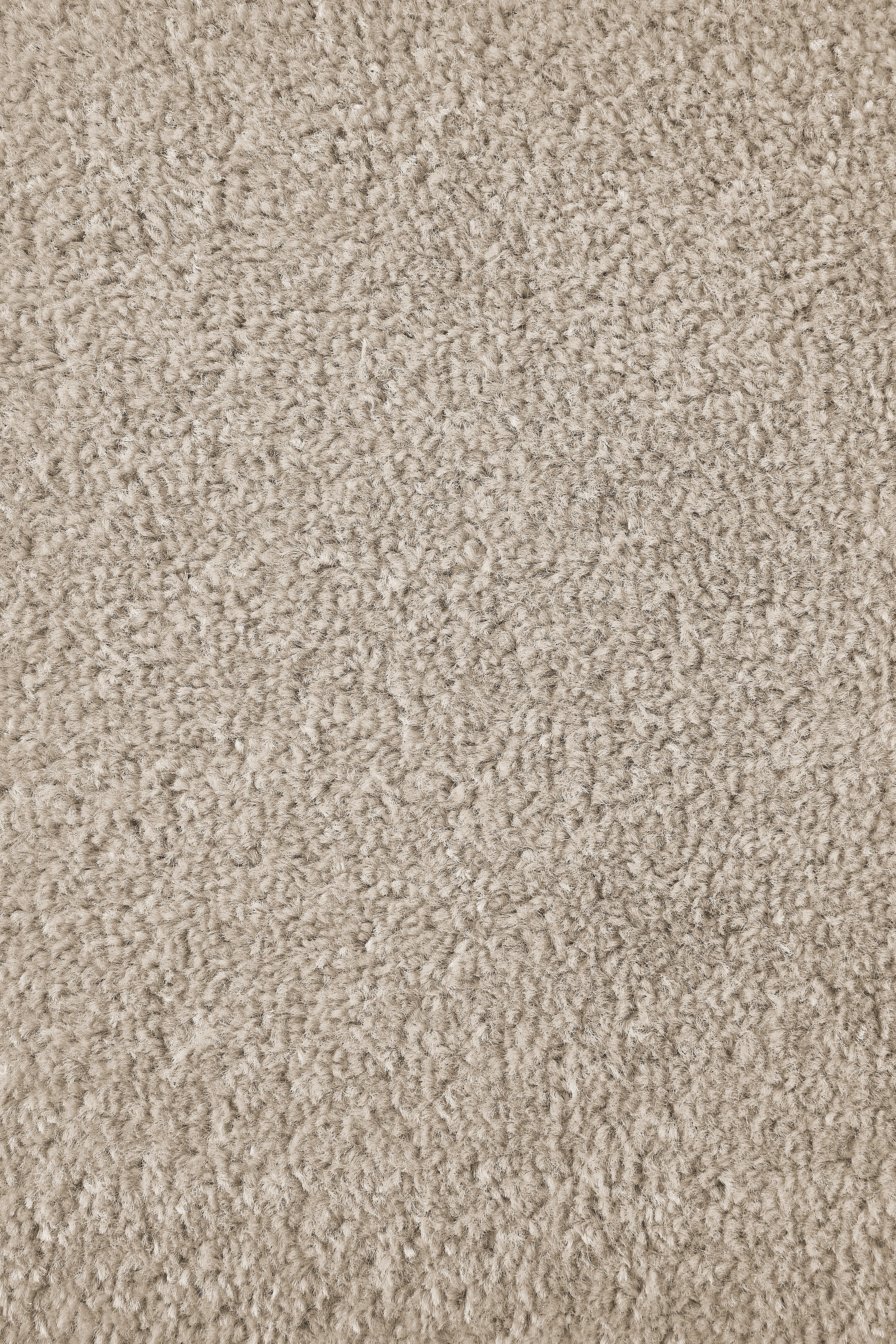 Teppichboden Sara beige B/L: ca. 200x400 cm pro Stück Sara - beige (200,00/400,00cm)