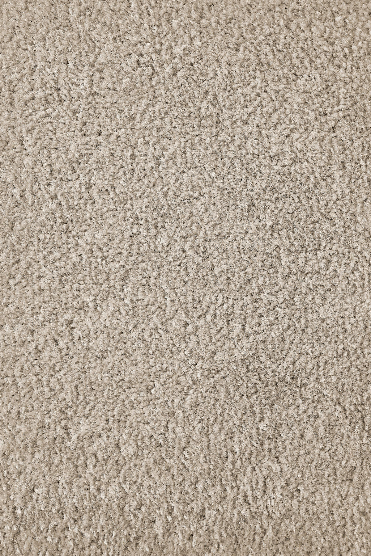 Teppichboden Sara beige B/L: ca. 200x400 cm pro Stück Sara - beige (200,00/400,00cm)