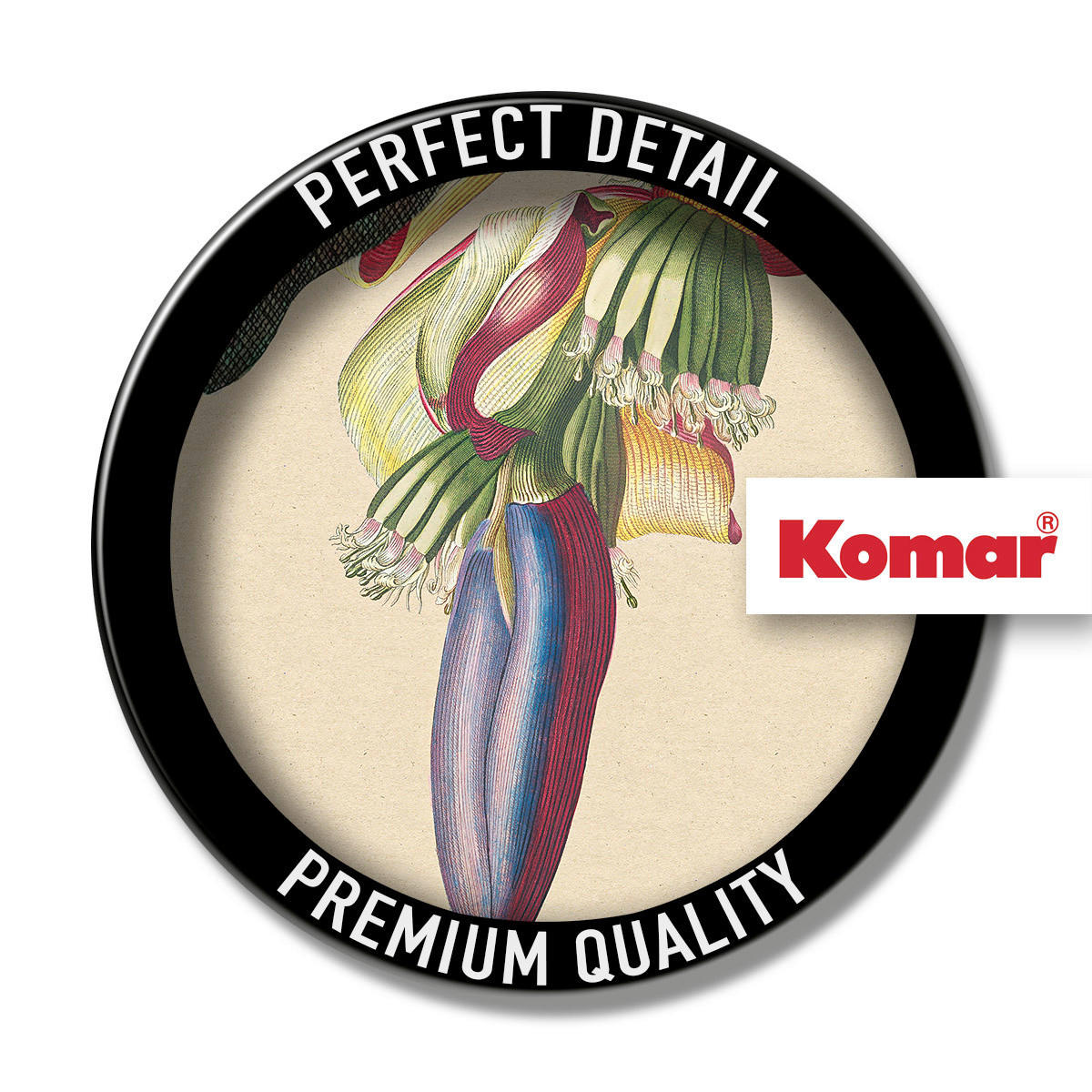 Komar Poster Banana Heart Pflanzen B/L: ca. 40x50 cm Banana Heart - (40,00/50,00cm) - Komar