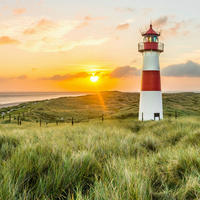 Keilrahmenbild Keilrahmenbild 35x35cm - (35,00/35,00cm)