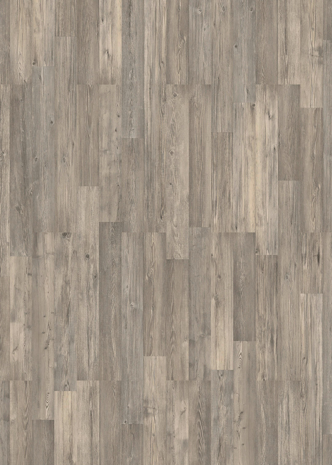 Laminatboden Pinie grau ca. 2,245 m² im Paket  B/L: ca. 19,4x128,6 cm pro Paket Pinie grau ca. 2,245 m² im Paket - grau (19,40/128,60cm)