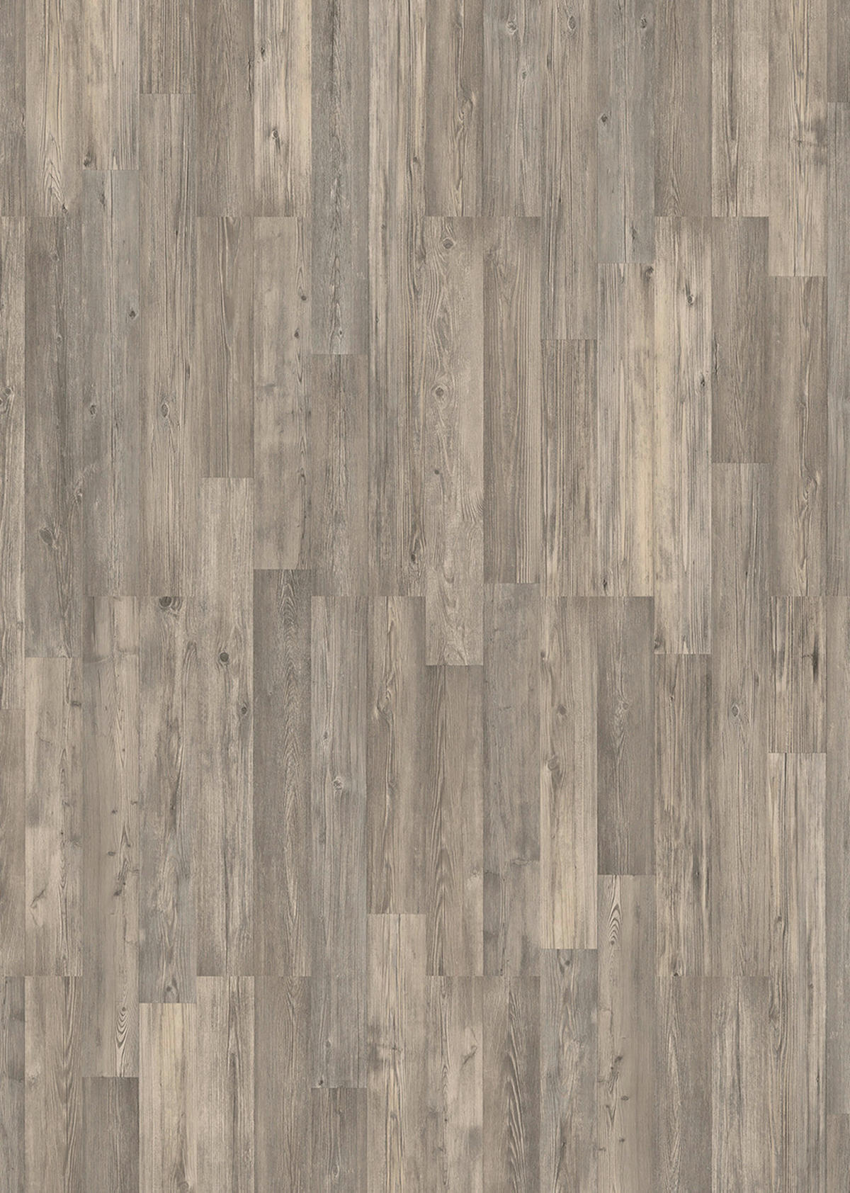 Laminatboden Pinie grau ca. 2,245 m² im Paket  B/L: ca. 19,4x128,6 cm pro Paket Pinie grau ca. 2,245 m² im Paket - grau (19,40/128,60cm)