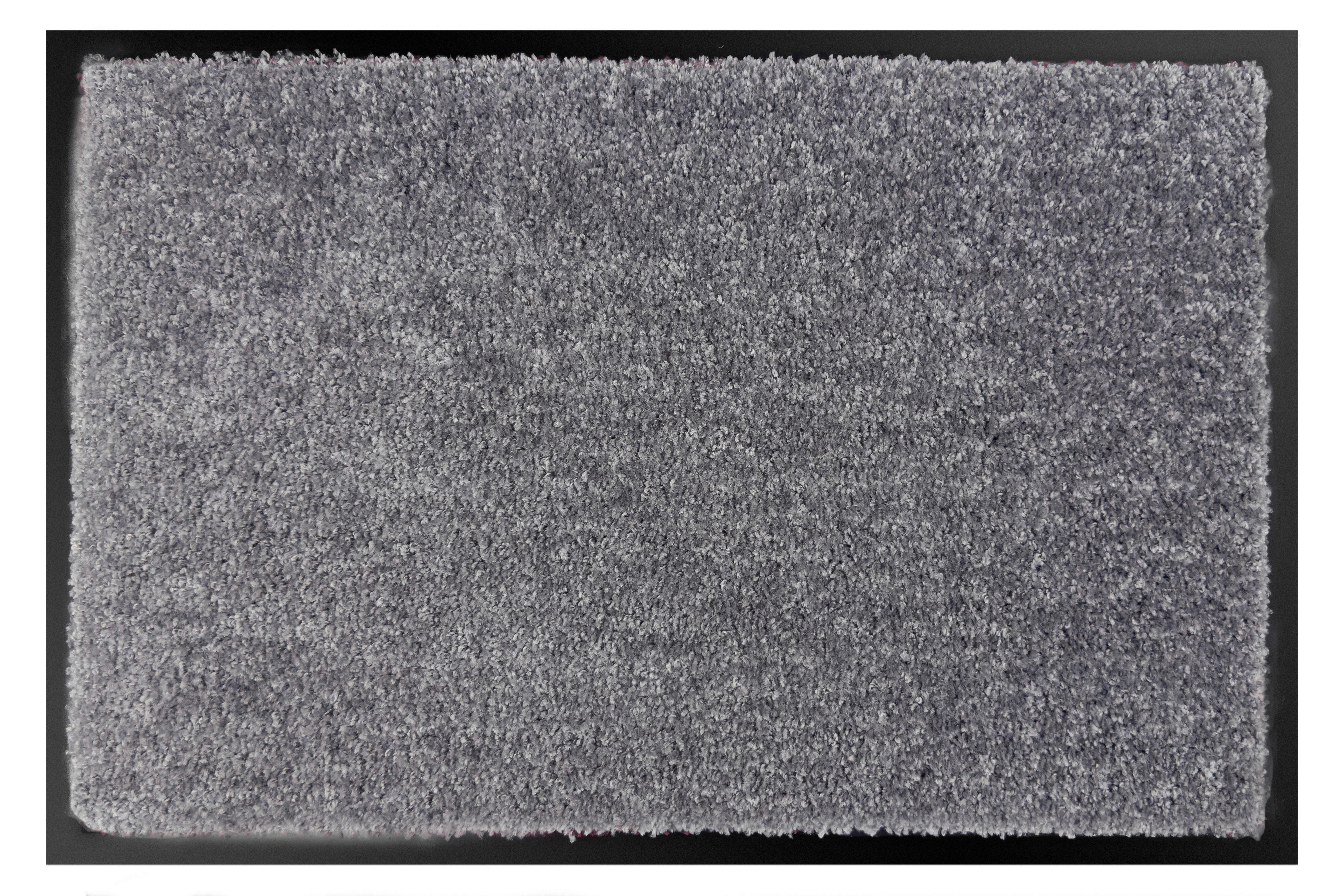 Schmutzfangmatte Teddy Silbergrau B/L: ca. 60x80 cm Teddy - Silbergrau (60,00/80,00cm)