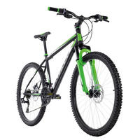 KS-Cycling Mountain-Bike Hardtail Xtinct grün Xtinct - schwarz/grün (46,00cm) - KS-Cycling