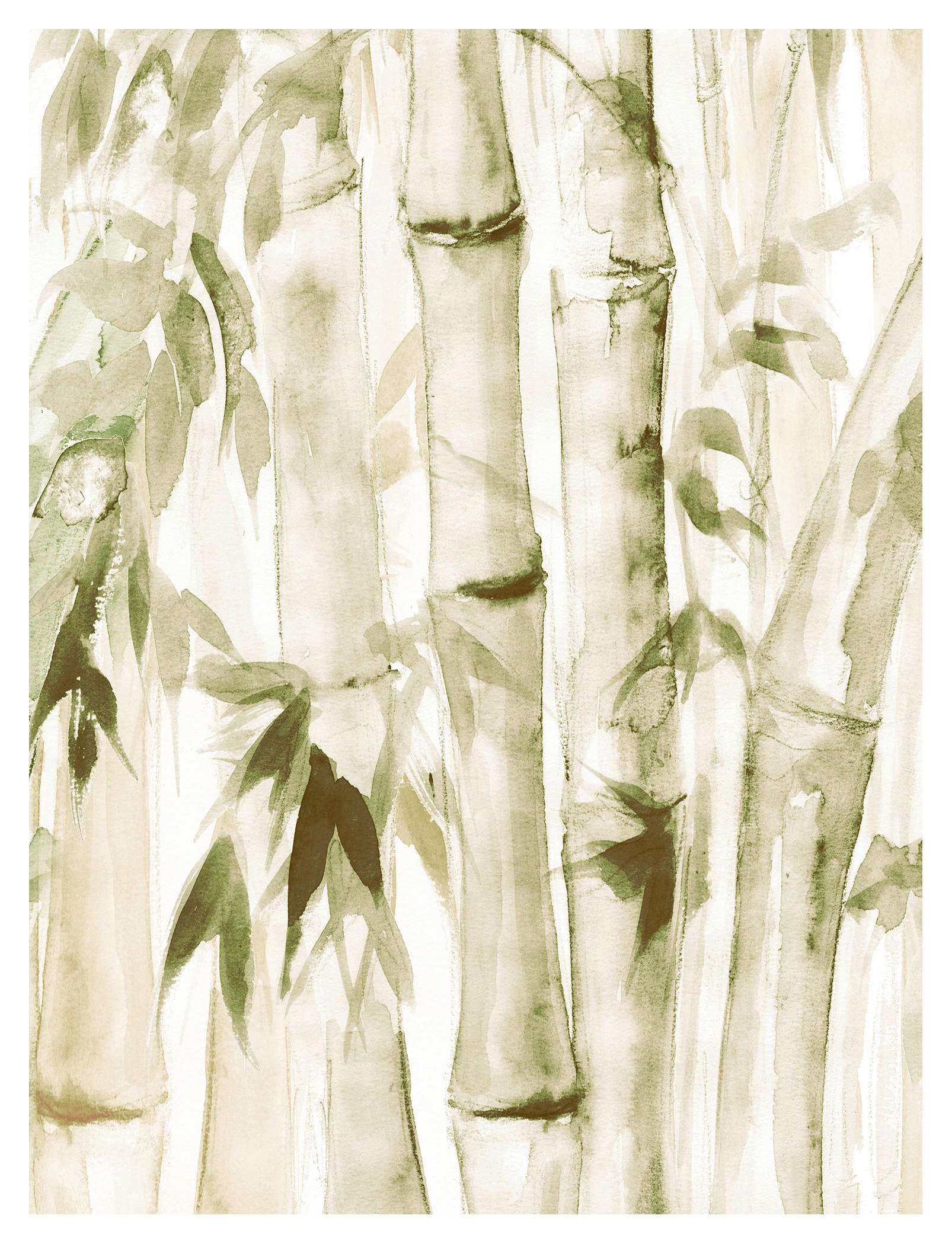 Komar Poster Wild Bamboo Bambus B/L: ca. 30x40 cm günstig online kaufen