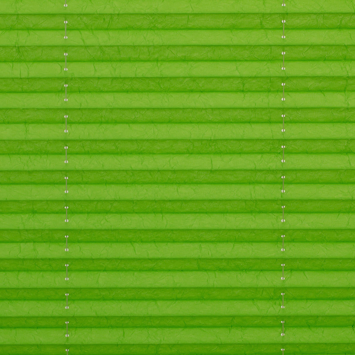 Spannplissee grün B/L: ca. 65x130 cm Plissee_Klemmfix - grün (65,00/130,00cm) - LICHTBLICK