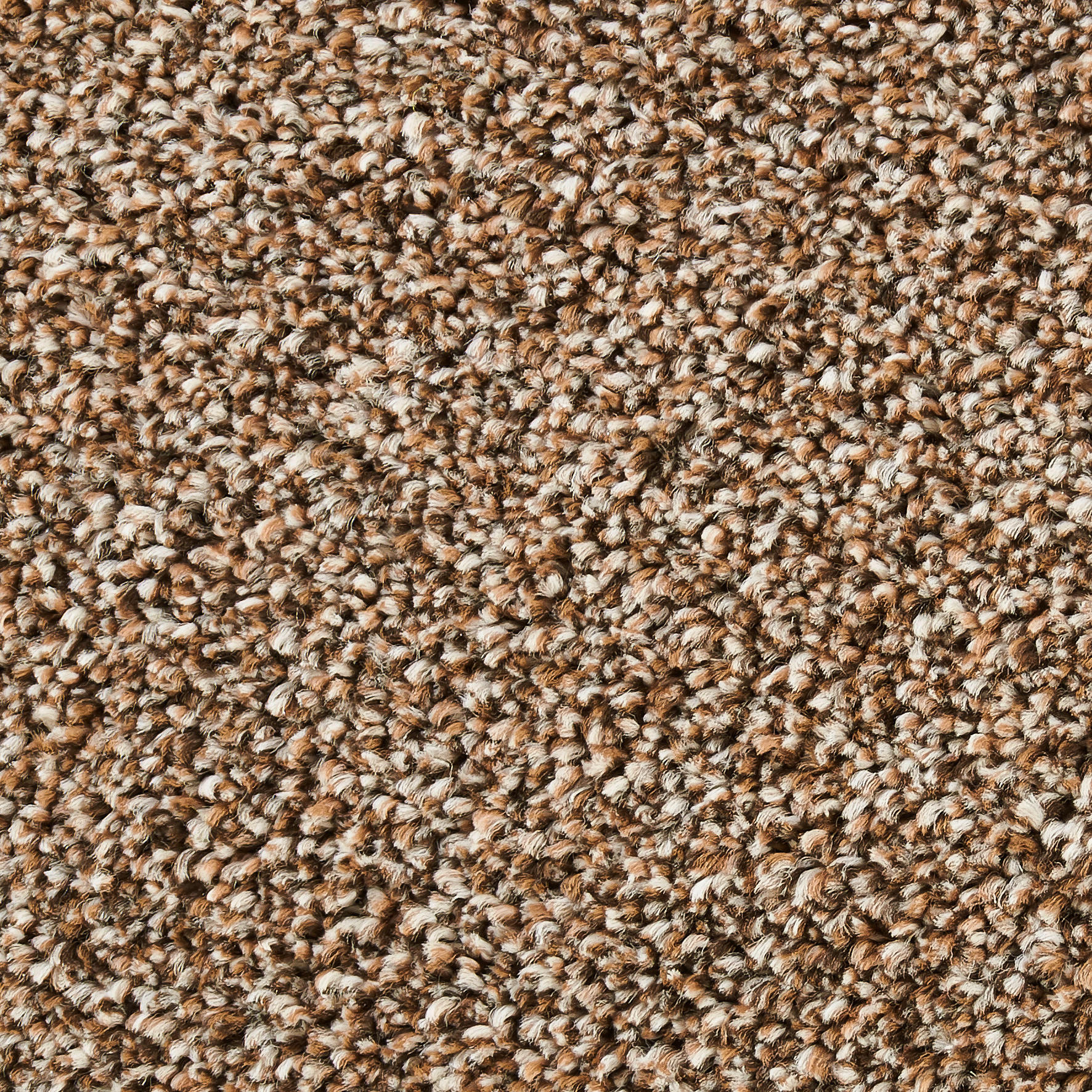 Teppichboden Broadway braun B: ca. 400 cm pro m² Broadway - braun (400,00cm)