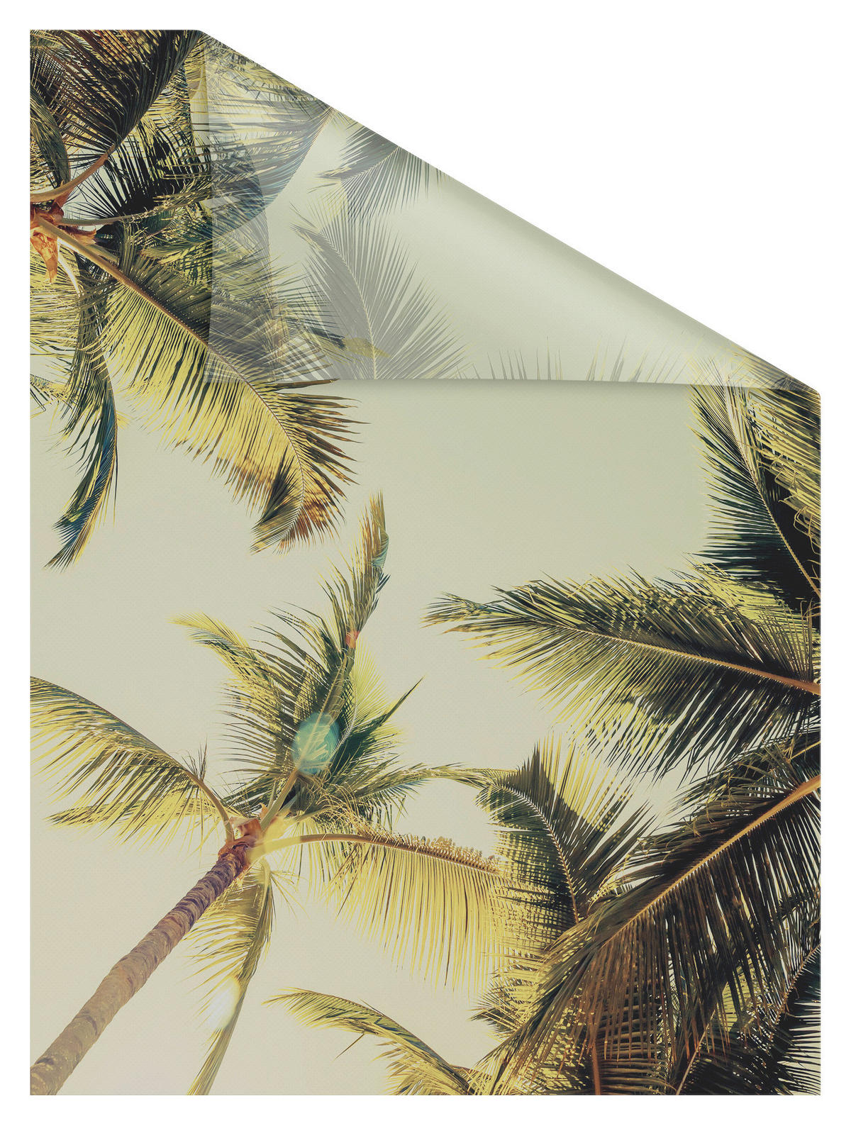 LICHTBLICK Fensterfolie Baum bunt B/L: ca. 50x100 cm ▷ online bei POCO  kaufen